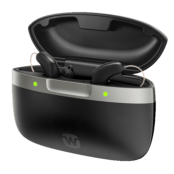 SmartRIC R D 330 Hearing Aids