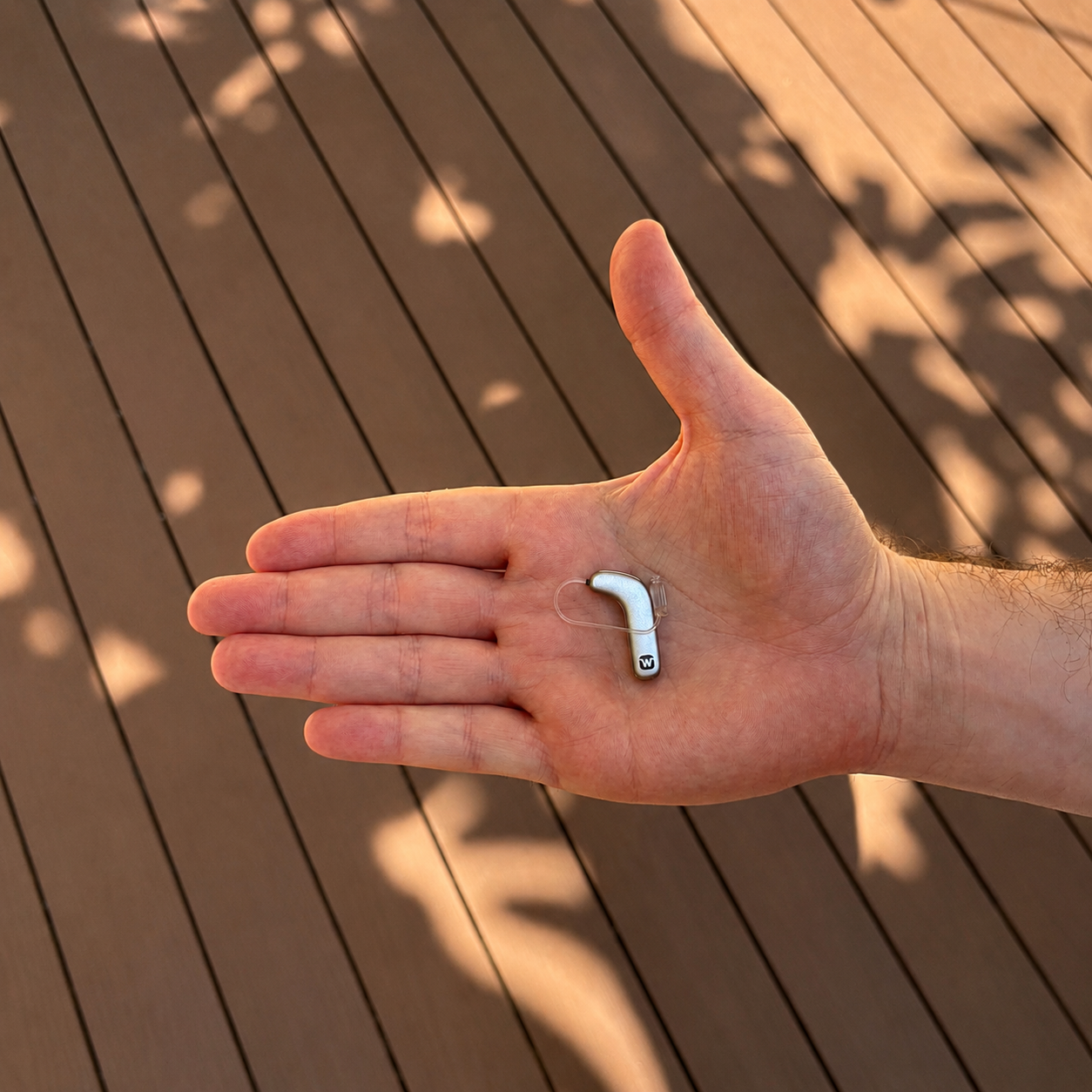 SmartRIC R D 330 Hearing Aids